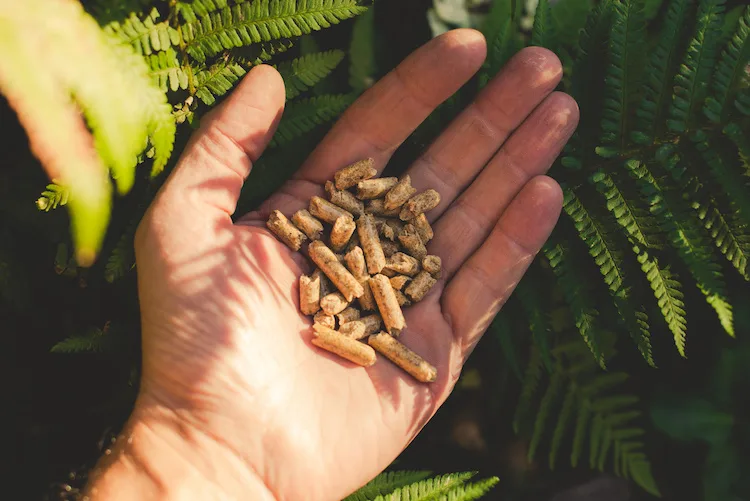 Si può usare il pellet nella stufa a legna? Vantaggi, svantaggi e consigli