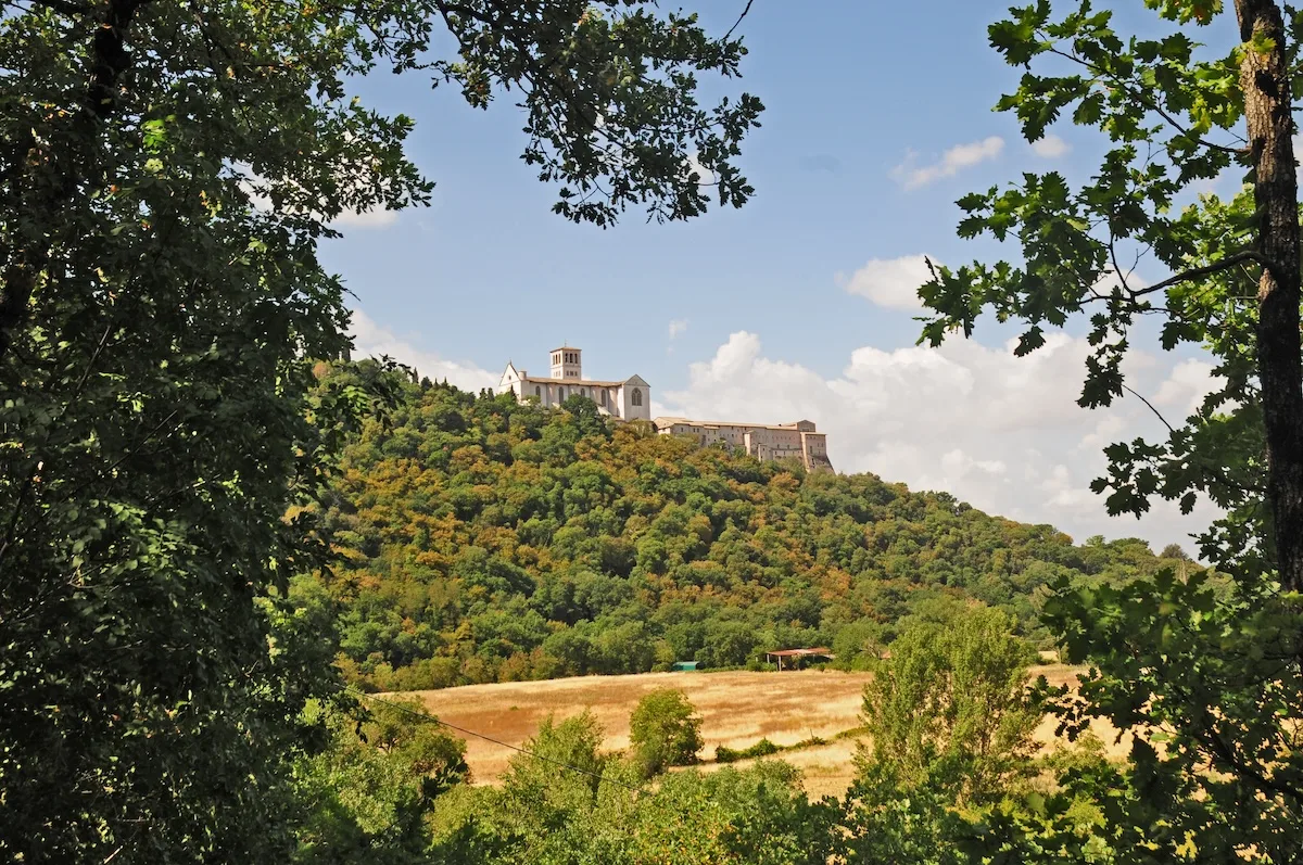 La magia del Natale 2025 nei beni del FAI: tutti gli eventi e i luoghi da visitare Bosco di San Francesco d'Assisi