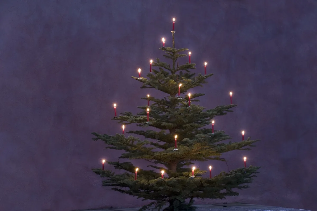 albero di natale con candele