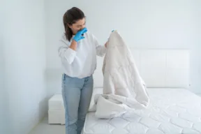 Pesciolino d'argento sul letto