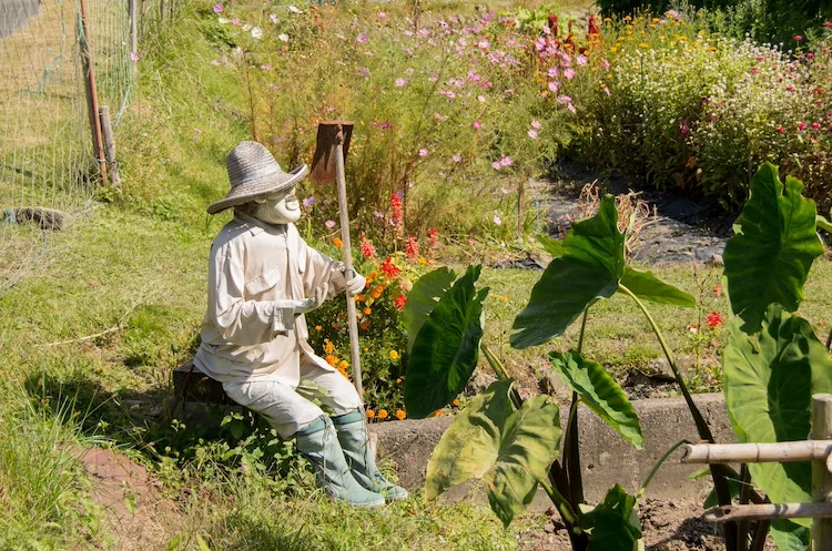 Viaggio a Nagoro, il paese degli spaventapasseri in Giappone
