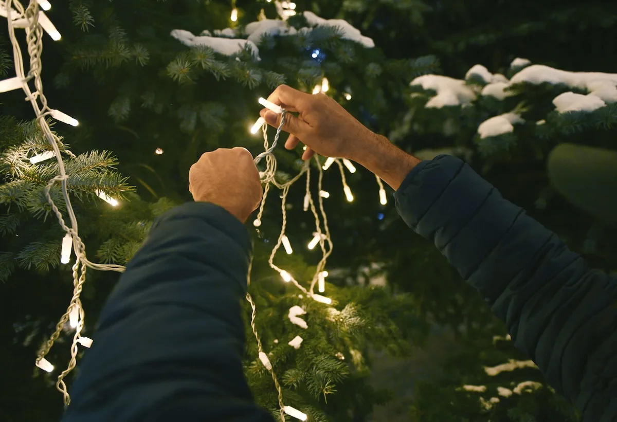 persona smonta le luci di natale