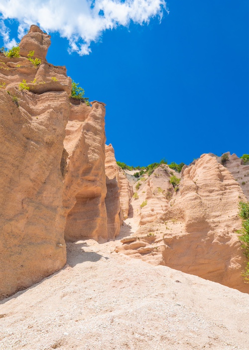 Lame Rosse
