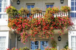 balcone con fiori