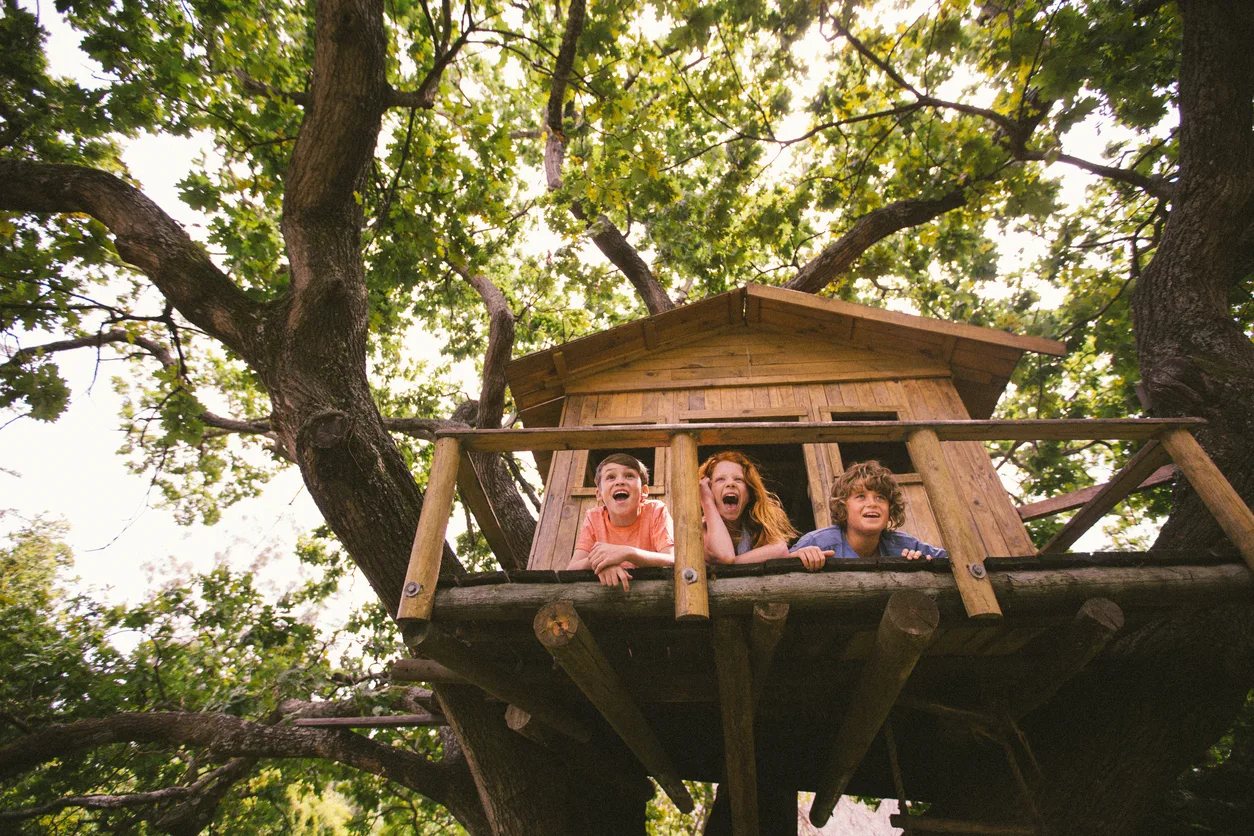 Come costruire una casa sull’albero fai da te