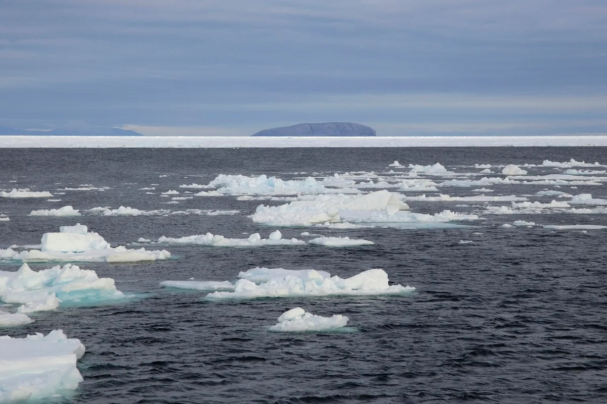 Isola Hans, la roccia inabitabile contesa per 50 anni da Canada e Danimarca