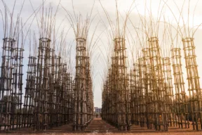 The Vegetal Cathedral in Oltre il Colle, in the province of Bergamo, is a perfect harmony of nature and architecture.