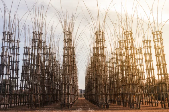The Vegetal Cathedral in Oltre il Colle, in the province of Bergamo, is a perfect harmony of nature and architecture.