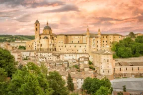 urbino
