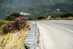 Perché in autostrada ci sono sempre gli oleandri?