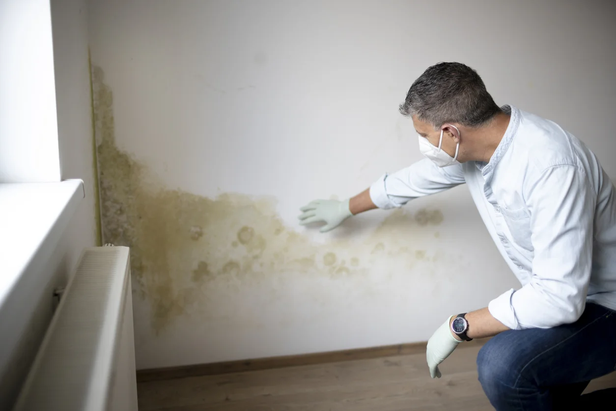 Come capire se è muffa o condensa?