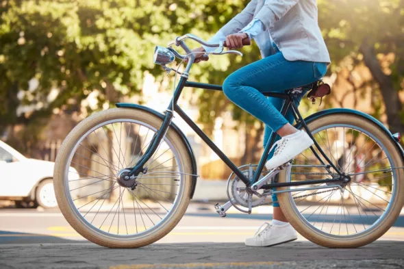 catena della bici
