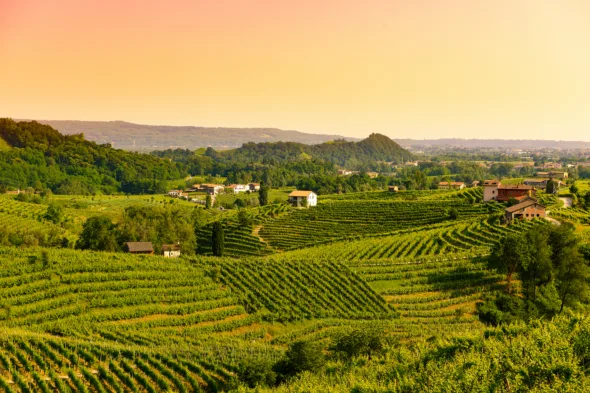 Colline del Prosecco