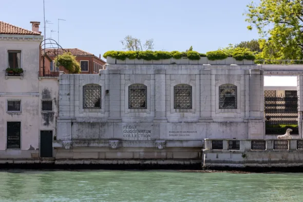 Palazzo Venier dei Leoni