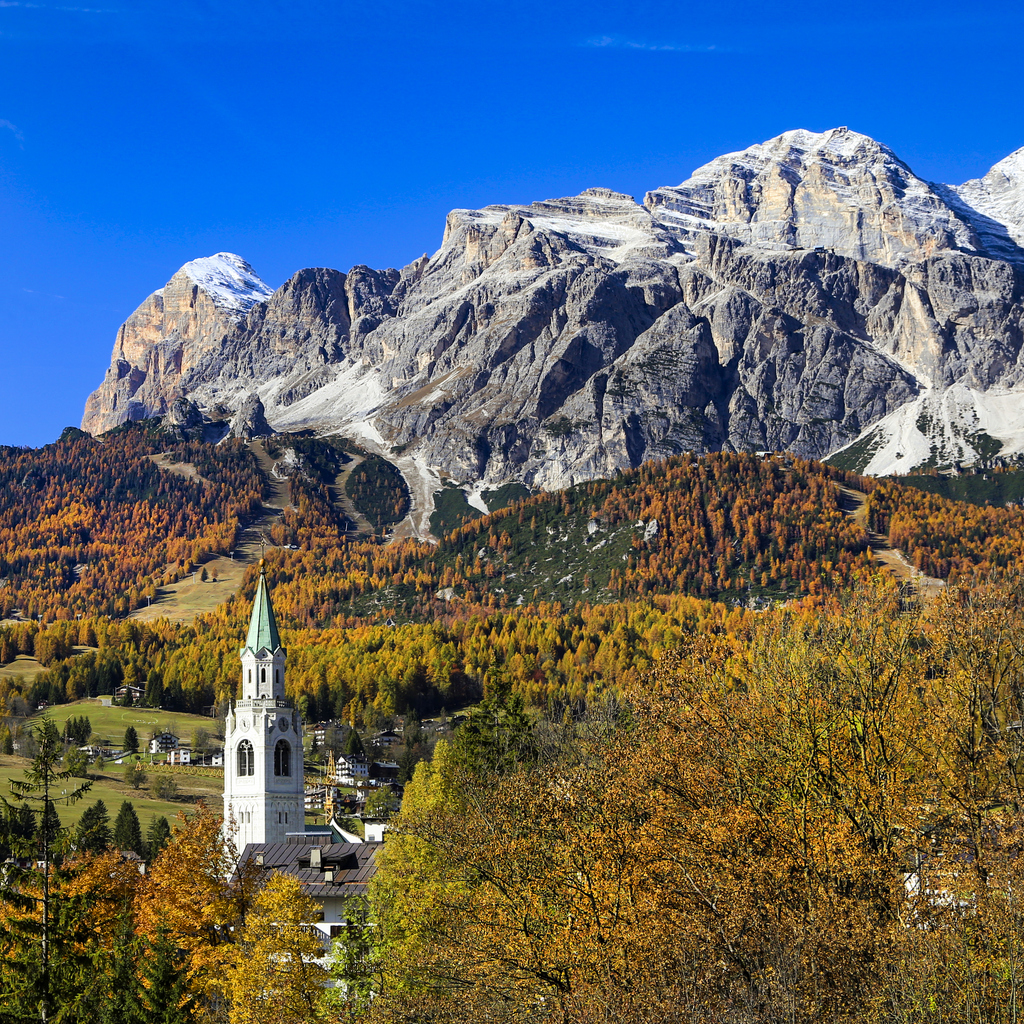 iStock 1237290074