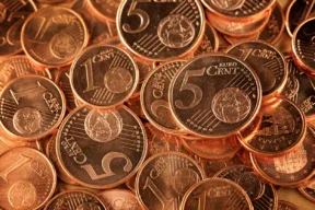 A cosa serve mettere una moneta di rame nel vaso delle piante
