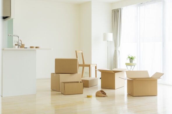 Moving Day in a Minimalist Living Room