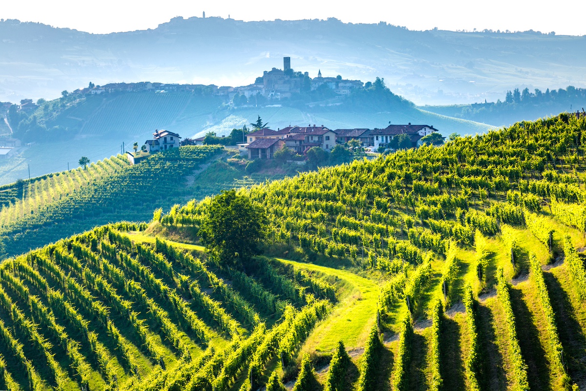 vigneti a Barolo