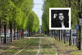 Dove vive il cantante Tananai