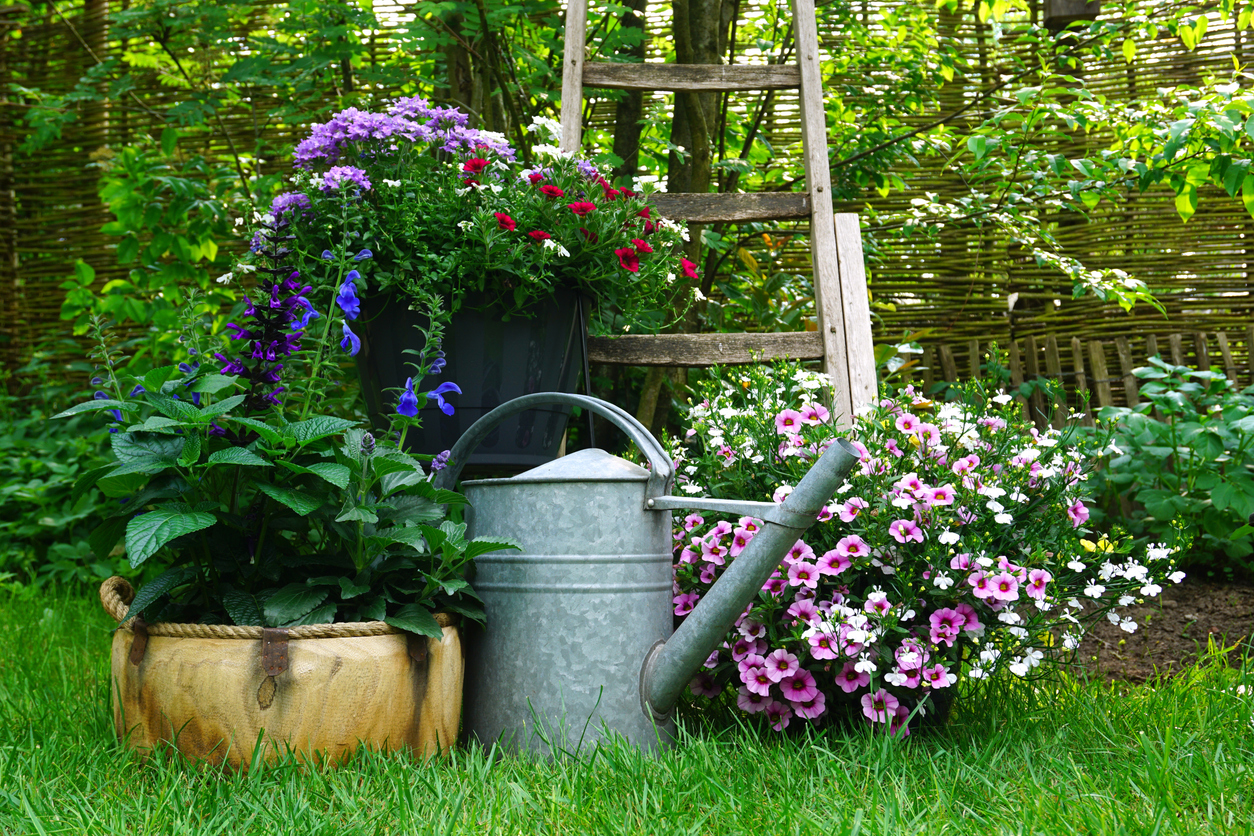 giardino country

