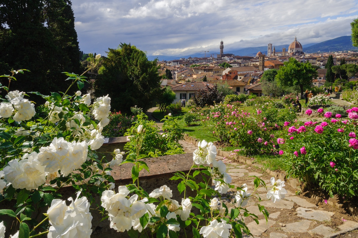 Rose Garden