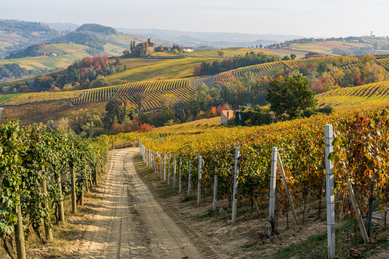 Langhe