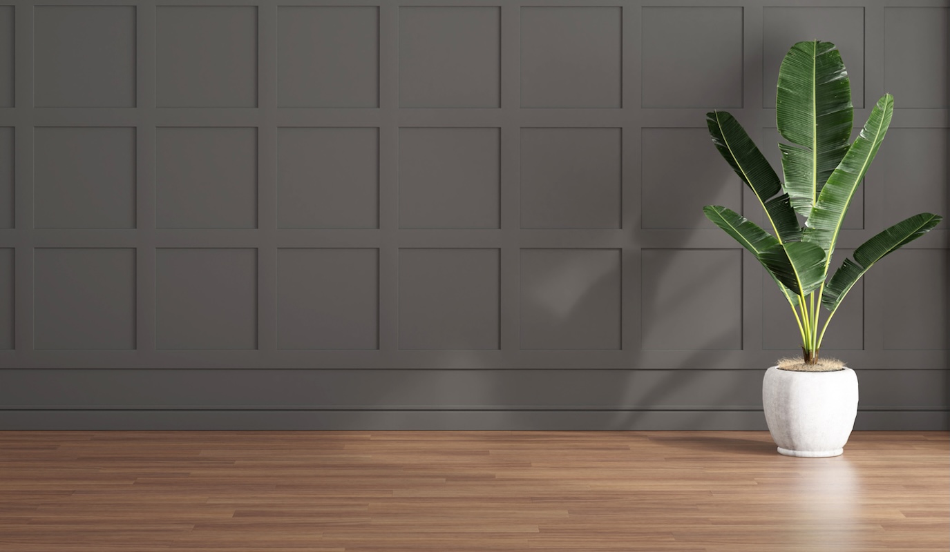 banano decorativo