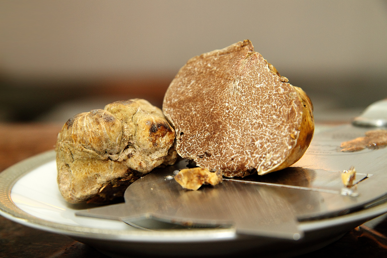 White truffle of Alba