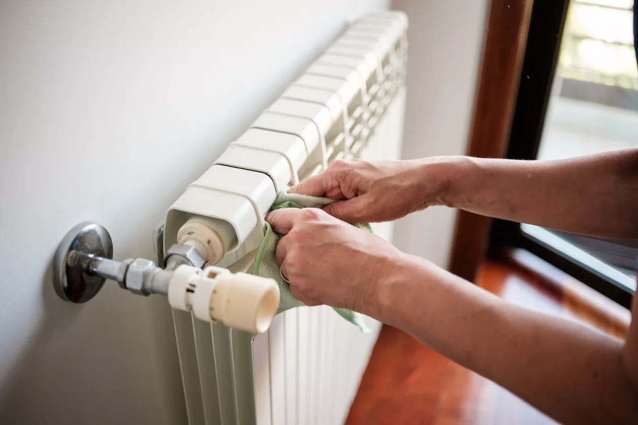 spazzola per pulire i termosifoni