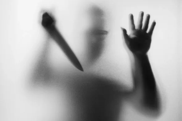 La casa di Psycho: un luogo da brividi e urla tra Ed Gein e Hitchcock