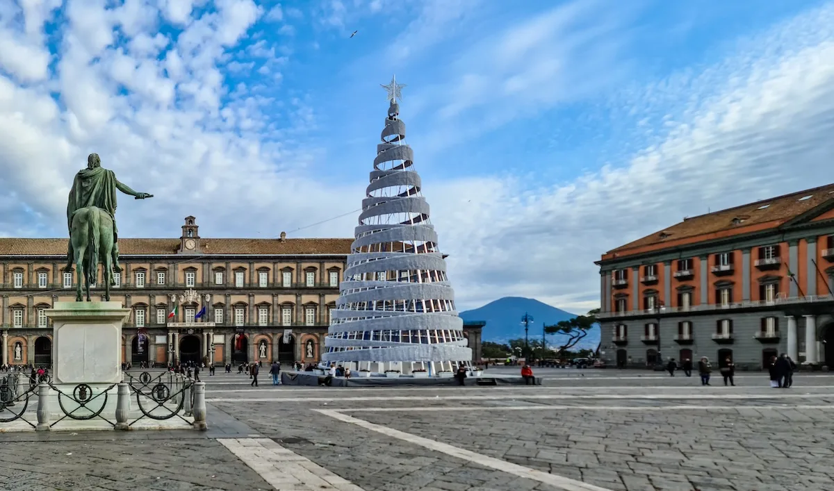 Albero in Piazza del Plebiscito