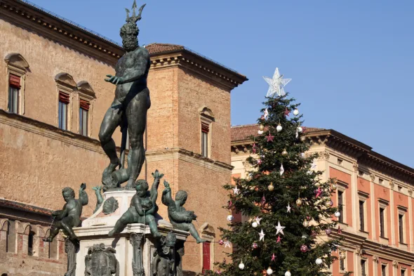 Cosa fare a Natale 2025 a Bologna quando si accende l'albero in Piazza Maggiore