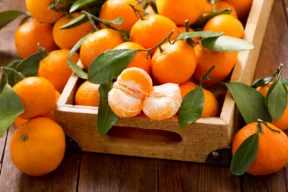 Come coltivare la pianta di mandarino?