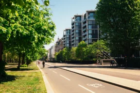 viale alberato in città