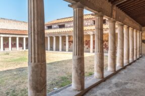 oplontis