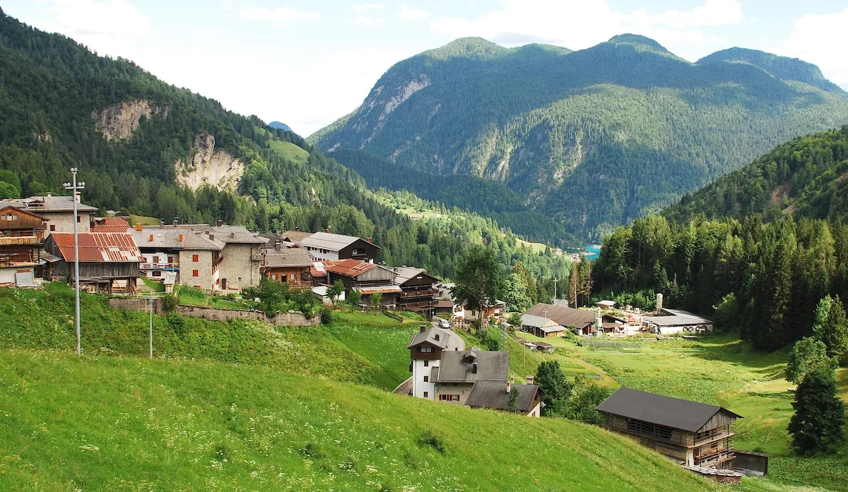 sauris