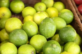 Come coltivare il Lime in casa: guida facile per piante rigogliose e frutti profumati