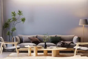 soggiorno con ramoscello di ulivo