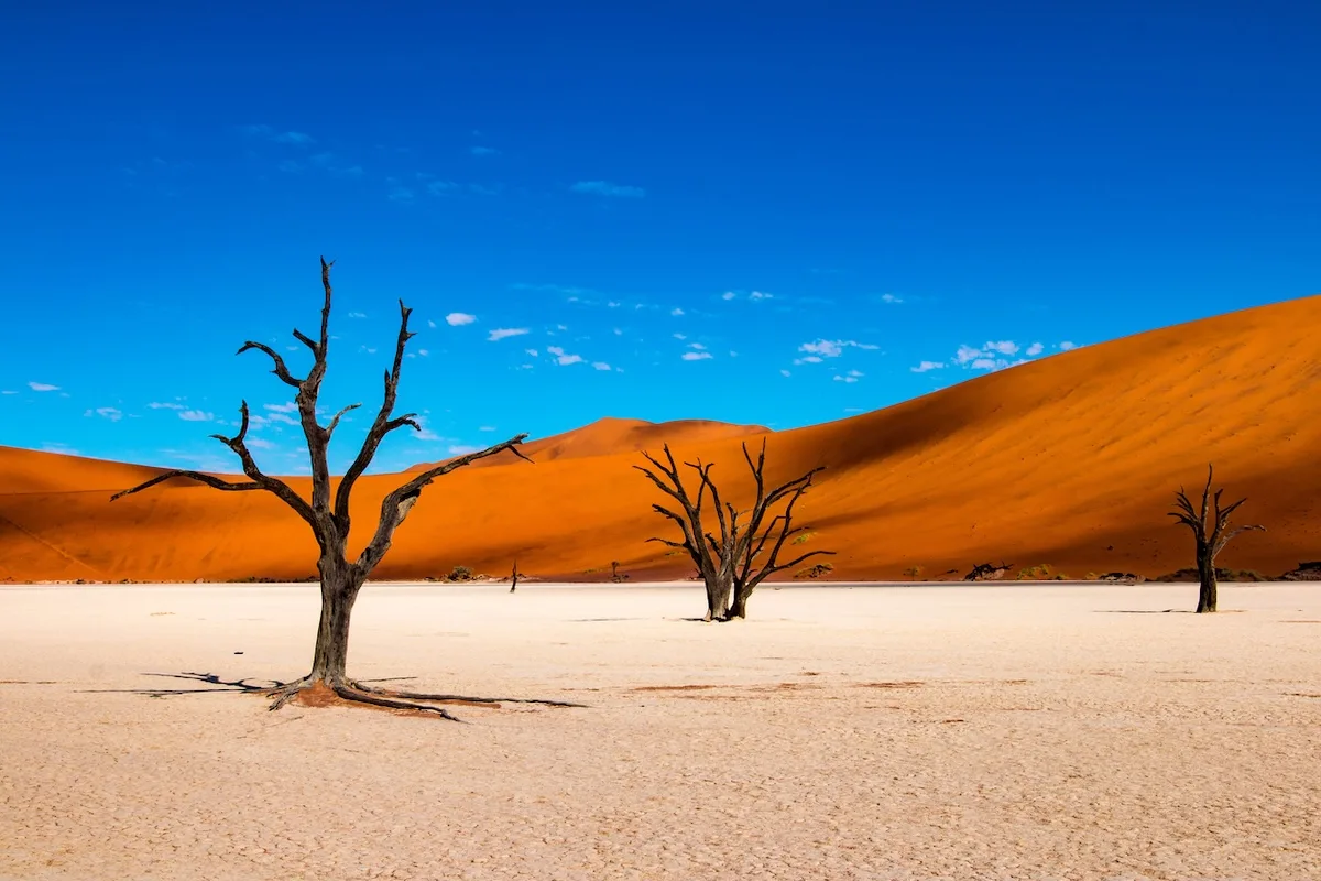 Quali sono i deserti più belli del mondo?