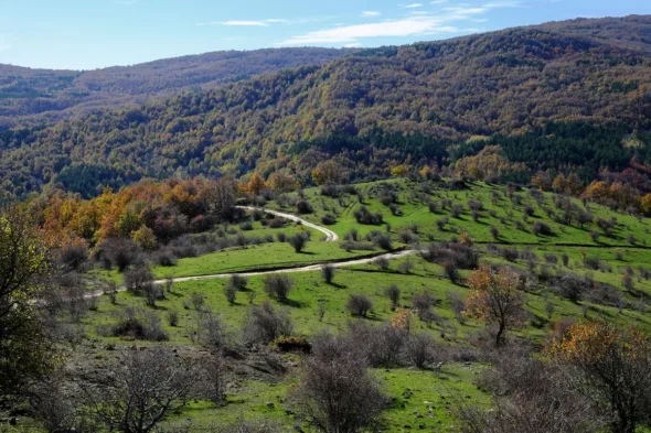 Parco dei Nebrodi, viaggio in una Sicilia insolita tra borghi, trekking e natura selvaggia