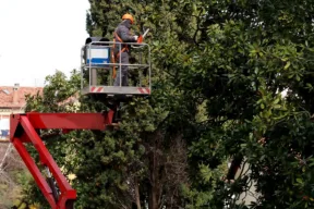 persona pota un labero