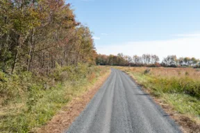 strada nei campi