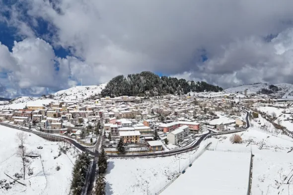 floresta