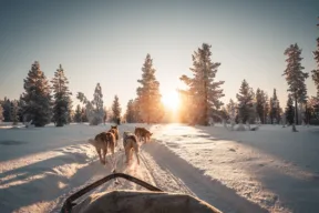 Come partecipare alla caccia in tesoro da 20mila euro in Lapponia