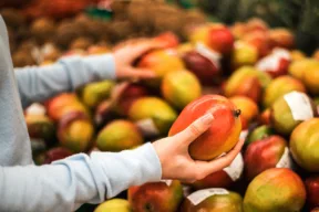 Quando si parla di raccolta differenziata, spesso i dubbi riguardano oggetti di uso quotidiano apparentemente insignificanti. Tra questi ci sono i bollini adesivi applicati su frutta e verdura, utilizzati per identificare il prodotto, la provenienza o il metodo di coltivazione. Ma dove si buttano i bollini della frutta? Conoscere la risposta è importante per effettuare una corretta gestione dei rifiuti e contribuire alla tutela dell’ambiente. Cosa sono i bollini della frutta Le etichette presenti su mele, banane, kiwi, arance e molti altri prodotti ortofrutticoli sono generalmente realizzati in plastica o in materiali compositi dotati di adesivo. Sebbene siano molto piccoli, non sono biodegradabili e non possono essere smaltiti insieme agli scarti organici. Molte persone tendono a gettare il bollino direttamente nell’umido insieme alla buccia o ai residui della frutta. Si tratta, però, di un errore che può compromettere i processi di compostaggio, poiché questi adesivi non si degradano come i rifiuti organici. Dove vanno conferiti Nella maggior parte dei comuni italiani, i bollini della frutta devono essere rimossi e conferiti nel secco residuo o indifferenziato. Questo perché le loro dimensioni ridotte e la composizione plastica rendono difficile il recupero attraverso i normali sistemi di riciclo. La regola generale è, quindi, semplice: frutta e scarti alimentari: raccolta organica; bollino adesivo: raccolta indifferenziata. La normativa e le etichette biodegradabili Attualmente non esiste un obbligo che imponga alle aziende di utilizzare bollini compostabili sui prodotti ortofrutticoli. La normativa richiede principalmente che le etichette adesive siano sicure per il contatto con gli alimenti e non ne alterino le caratteristiche. Non mancano, tuttavia, realtà che si stanno muovendo, soprattutto per i prodotti bio, verso l’adozione del bollino biodegradabile (con la certificazione OKcompost INDUSTRIAL) e verso alternative eco-friendly come l’etichettatura laser Natural Branding. Perché è importante rimuovere i bollini Anche se si tratta di un rifiuto molto piccolo, il corretto smaltimento dei bollini della frutta contribuisce a migliorare la qualità della raccolta differenziata. Gli impianti che trattano la frazione organica devono, infatti, eliminare le impurità presenti nei rifiuti. Maggiore è la presenza di materiali non compostabili, più complesso e costoso diventa il processo di trattamento. Rimuovere il bollino richiede solo pochi secondi, ma rappresenta un gesto concreto a favore dell’ambiente e dell’economia circolare. Attenzione alle regole locali Sebbene il conferimento nell’indifferenziato sia la soluzione più diffusa, alcune amministrazioni locali possono adottare indicazioni specifiche in base ai propri sistemi di gestione dei rifiuti. Per questo motivo è sempre consigliabile consultare il regolamento comunale o le linee guida del gestore locale della raccolta differenziata.