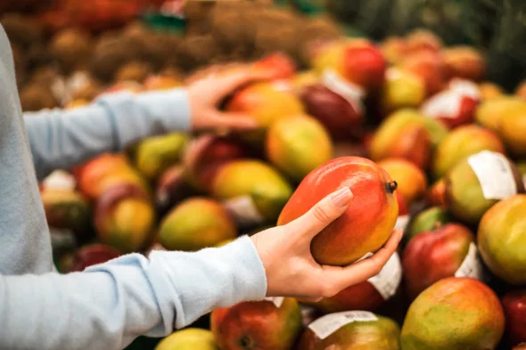 Quando si parla di raccolta differenziata, spesso i dubbi riguardano oggetti di uso quotidiano apparentemente insignificanti. Tra questi ci sono i bollini adesivi applicati su frutta e verdura, utilizzati per identificare il prodotto, la provenienza o il metodo di coltivazione. Ma dove si buttano i bollini della frutta? Conoscere la risposta è importante per effettuare una corretta gestione dei rifiuti e contribuire alla tutela dell’ambiente. Cosa sono i bollini della frutta Le etichette presenti su mele, banane, kiwi, arance e molti altri prodotti ortofrutticoli sono generalmente realizzati in plastica o in materiali compositi dotati di adesivo. Sebbene siano molto piccoli, non sono biodegradabili e non possono essere smaltiti insieme agli scarti organici. Molte persone tendono a gettare il bollino direttamente nell’umido insieme alla buccia o ai residui della frutta. Si tratta, però, di un errore che può compromettere i processi di compostaggio, poiché questi adesivi non si degradano come i rifiuti organici. Dove vanno conferiti Nella maggior parte dei comuni italiani, i bollini della frutta devono essere rimossi e conferiti nel secco residuo o indifferenziato. Questo perché le loro dimensioni ridotte e la composizione plastica rendono difficile il recupero attraverso i normali sistemi di riciclo. La regola generale è, quindi, semplice: frutta e scarti alimentari: raccolta organica; bollino adesivo: raccolta indifferenziata. La normativa e le etichette biodegradabili Attualmente non esiste un obbligo che imponga alle aziende di utilizzare bollini compostabili sui prodotti ortofrutticoli. La normativa richiede principalmente che le etichette adesive siano sicure per il contatto con gli alimenti e non ne alterino le caratteristiche. Non mancano, tuttavia, realtà che si stanno muovendo, soprattutto per i prodotti bio, verso l’adozione del bollino biodegradabile (con la certificazione OKcompost INDUSTRIAL) e verso alternative eco-friendly come l’etichettatura laser Natural Branding. Perché è importante rimuovere i bollini Anche se si tratta di un rifiuto molto piccolo, il corretto smaltimento dei bollini della frutta contribuisce a migliorare la qualità della raccolta differenziata. Gli impianti che trattano la frazione organica devono, infatti, eliminare le impurità presenti nei rifiuti. Maggiore è la presenza di materiali non compostabili, più complesso e costoso diventa il processo di trattamento. Rimuovere il bollino richiede solo pochi secondi, ma rappresenta un gesto concreto a favore dell’ambiente e dell’economia circolare. Attenzione alle regole locali Sebbene il conferimento nell’indifferenziato sia la soluzione più diffusa, alcune amministrazioni locali possono adottare indicazioni specifiche in base ai propri sistemi di gestione dei rifiuti. Per questo motivo è sempre consigliabile consultare il regolamento comunale o le linee guida del gestore locale della raccolta differenziata.