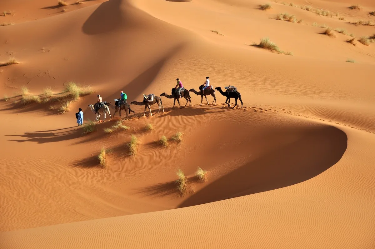 Dune del Sahara