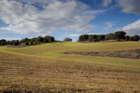 Olmeda de la Cuesta, il borgo spagnolo che mette all'asta i suoi terreni a partire da 100 euro