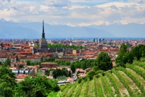 vigna torino