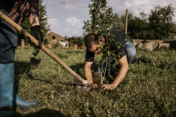 C'è una legge che obbliga alcune città a piantare un albero per ogni nuovo nato